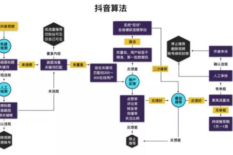 抖音起号最快的方法-一个抖音新号怎么做起来