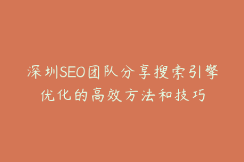深圳SEO团队分享搜索引擎优化的高效方法和技巧