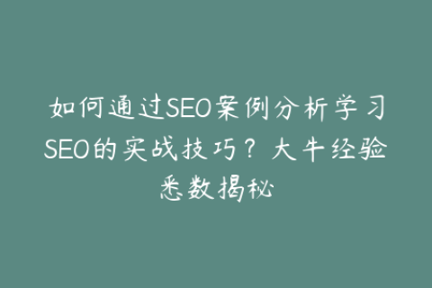 如何通过SEO案例分析学习SEO的实战技巧？大牛经验悉数揭秘