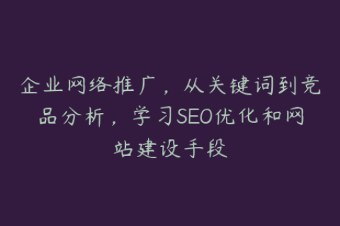 企业网络推广，从关键词到竞品分析，学习SEO优化和网站建设手段