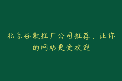 北京谷歌推广公司推荐，让你的网站更受欢迎