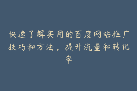 快速了解实用的百度网站推广技巧和方法，提升流量和转化率
