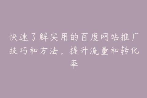 快速了解实用的百度网站推广技巧和方法，提升流量和转化率