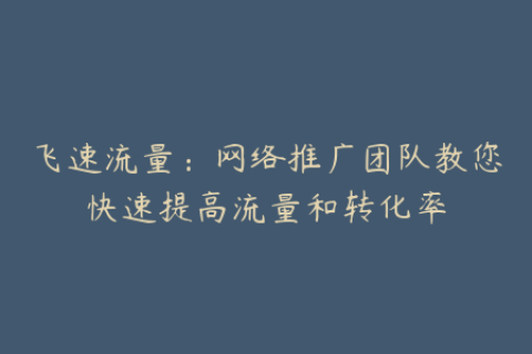 飞速流量：网络推广团队教您快速提高流量和转化率