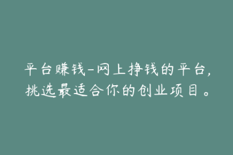 平台赚钱-网上挣钱的平台,挑选最适合你的创业项目。
