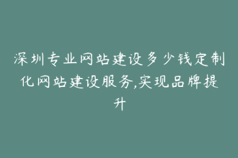 深圳专业网站建设多少钱定制化网站建设服务,实现品牌提升