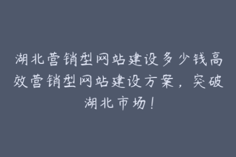 湖北营销型网站建设多少钱高效营销型网站建设方案，突破湖北市场！
