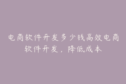 电商软件开发多少钱高效电商软件开发，降低成本