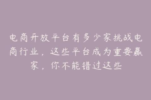 电商开放平台有多少家挑战电商行业，这些平台成为重要赢家，你不能错过这些