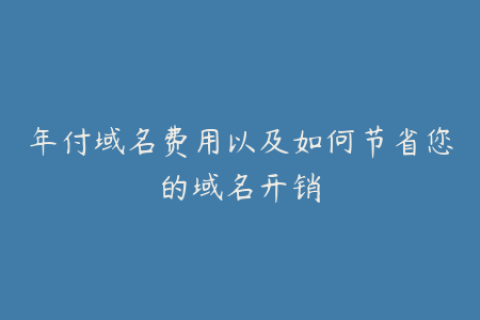年付域名费用以及如何节省您的域名开销