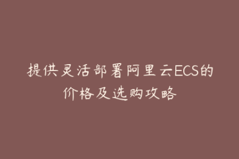 提供灵活部署阿里云ECS的价格及选购攻略