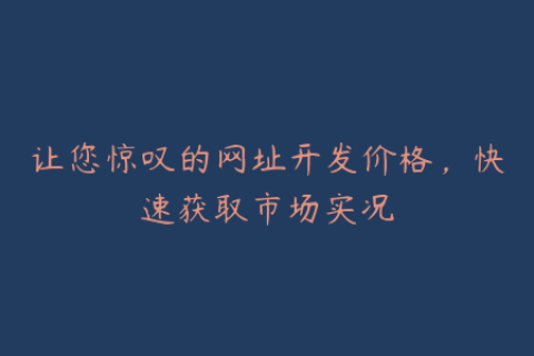 让您惊叹的网址开发价格，快速获取市场实况