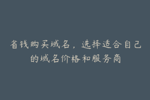 省钱购买域名，选择适合自己的域名价格和服务商