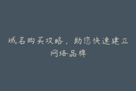 域名购买攻略，助您快速建立网络品牌