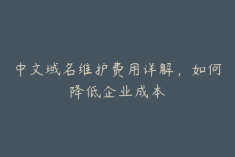 中文域名维护费用详解，如何降低企业成本