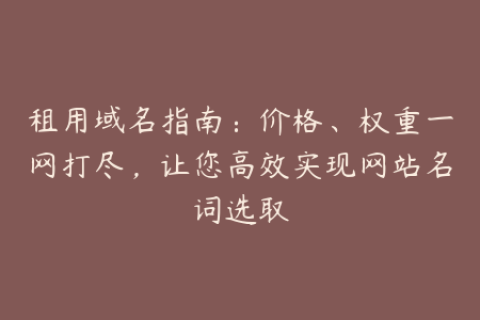 租用域名指南：价格、权重一网打尽，让您高效实现网站名词选取