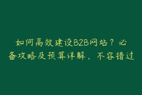 如何高效建设B2B网站？必备攻略及预算详解，不容错过