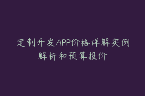 定制开发APP价格详解实例解析和预算报价