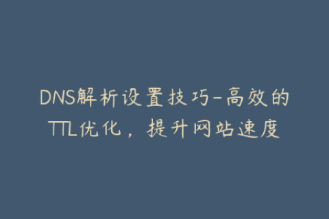 DNS解析设置技巧-高效的TTL优化，提升网站速度