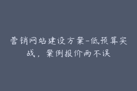 营销网站建设方案-低预算实战，案例报价两不误