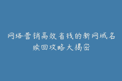 网络营销高效省钱的新网域名赎回攻略大揭密