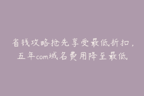 省钱攻略抢先享受最低折扣，五年com域名费用降至最低