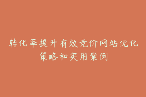转化率提升有效竞价网站优化策略和实用案例