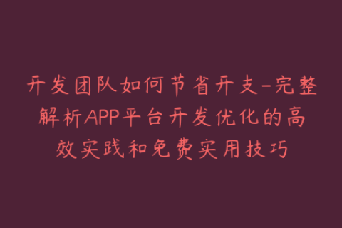 开发团队如何节省开支-完整解析APP平台开发优化的高效实践和免费实用技巧