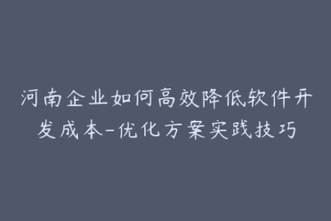 河南企业如何高效降低软件开发成本-优化方案实践技巧