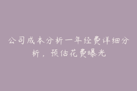 公司成本分析一年经费详细分析，预估花费曝光