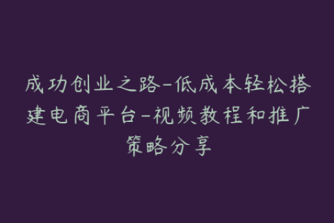 成功创业之路-低成本轻松搭建电商平台-视频教程和推广策略分享