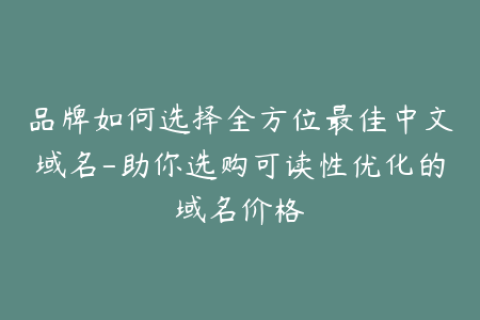 品牌如何选择全方位最佳中文域名-助你选购可读性优化的域名价格