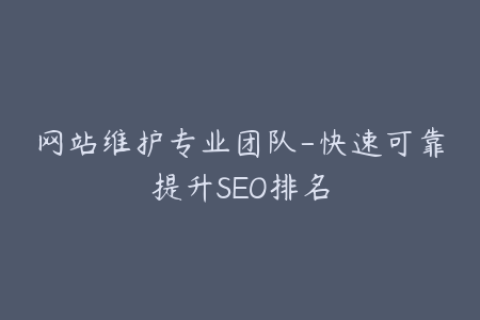网站维护专业团队-快速可靠提升SEO排名