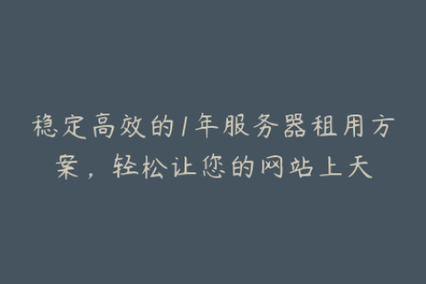 稳定高效的1年服务器租用方案，轻松让您的网站上天