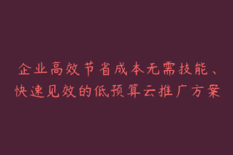 企业高效节省成本无需技能、快速见效的低预算云推广方案