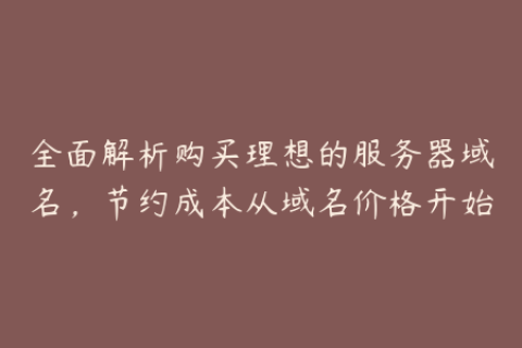全面解析购买理想的服务器域名，节约成本从域名价格开始