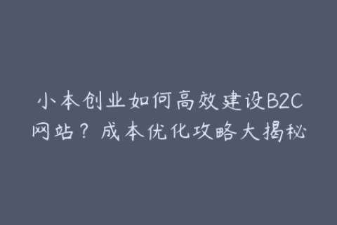 小本创业如何高效建设B2C网站？成本优化攻略大揭秘