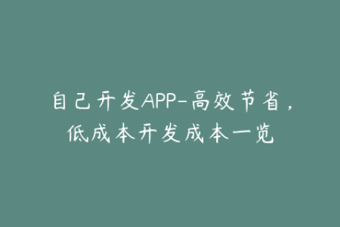 自己开发APP-高效节省，低成本开发成本一览