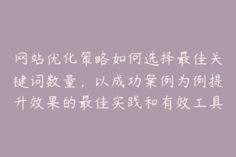 网站优化策略如何选择最佳关键词数量，以成功案例为例提升效果的最佳实践和有效工具