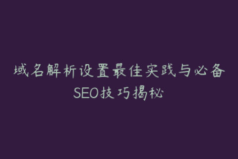 域名解析设置最佳实践与必备SEO技巧揭秘