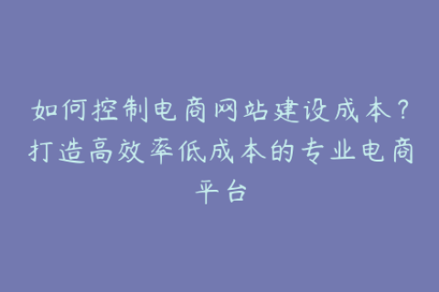 如何控制电商网站建设成本？打造高效率低成本的专业电商平台