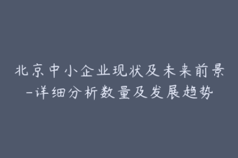 北京中小企业现状及未来前景-详细分析数量及发展趋势
