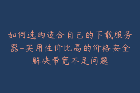 如何选购适合自己的下载服务器-实用性价比高的价格安全解决带宽不足问题