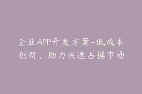 企业APP开发方案-低成本创新，助力快速占据市场