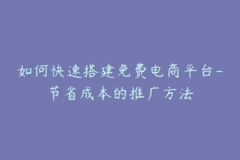 如何快速搭建免费电商平台-节省成本的推广方法
