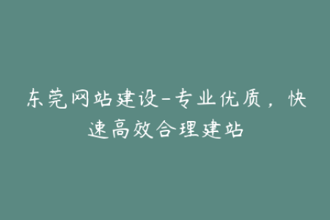 东莞网站建设-专业优质，快速高效合理建站