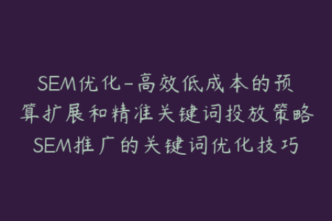 SEM优化-高效低成本的预算扩展和精准关键词投放策略SEM推广的关键词优化技巧、转化率、ROI和竞品分析
