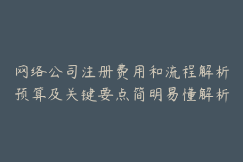 网络公司注册费用和流程解析预算及关键要点简明易懂解析