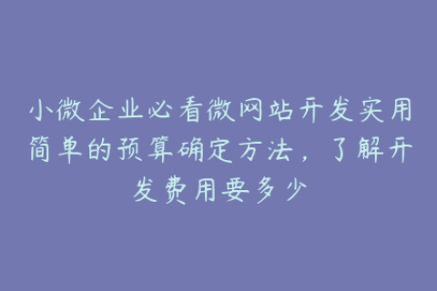 小微企业必看微网站开发实用简单的预算确定方法，了解开发费用要多少