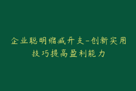 企业聪明缩减开支-创新实用技巧提高盈利能力